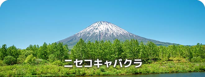 ニセコキャバクラ