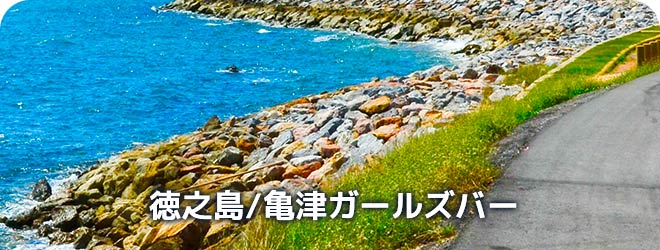 徳之島/亀津ガールズバー