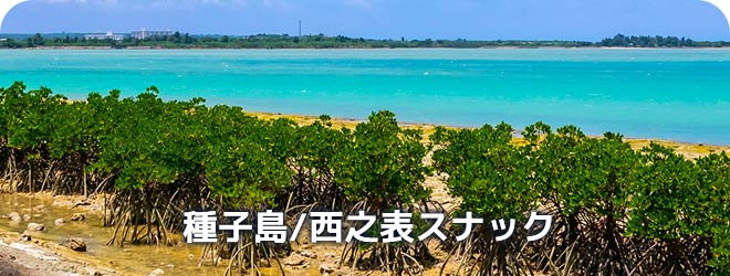 種子島/西之表スナック